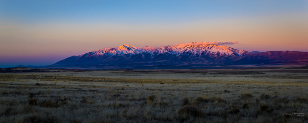 Photography of Wild Horses in Utah