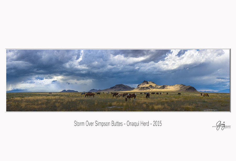 Photography of wild horses in utah Onaqui herd landscape