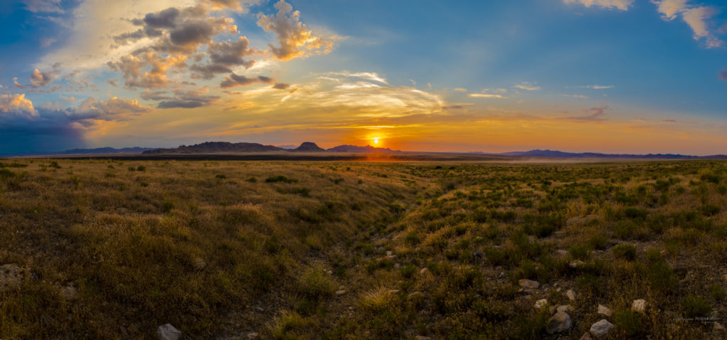 Photography of a Sunset in Utah's West desert.  Wild horses in the distance