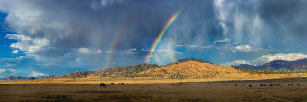 sunset, sunset after storm Utah&#039;s West desert, thunderstorm storm in Utah&#039;s West Desert, wild horses in thunderstorm