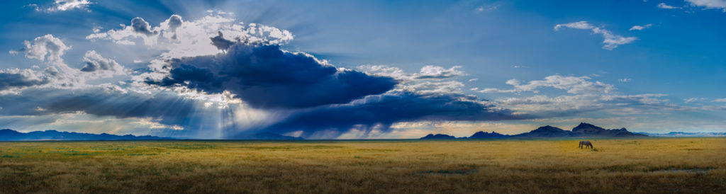 sunset, sunset after storm Utah's West desert, thunderstorm storm in Utah's West Desert, wild horses in thunderstorm