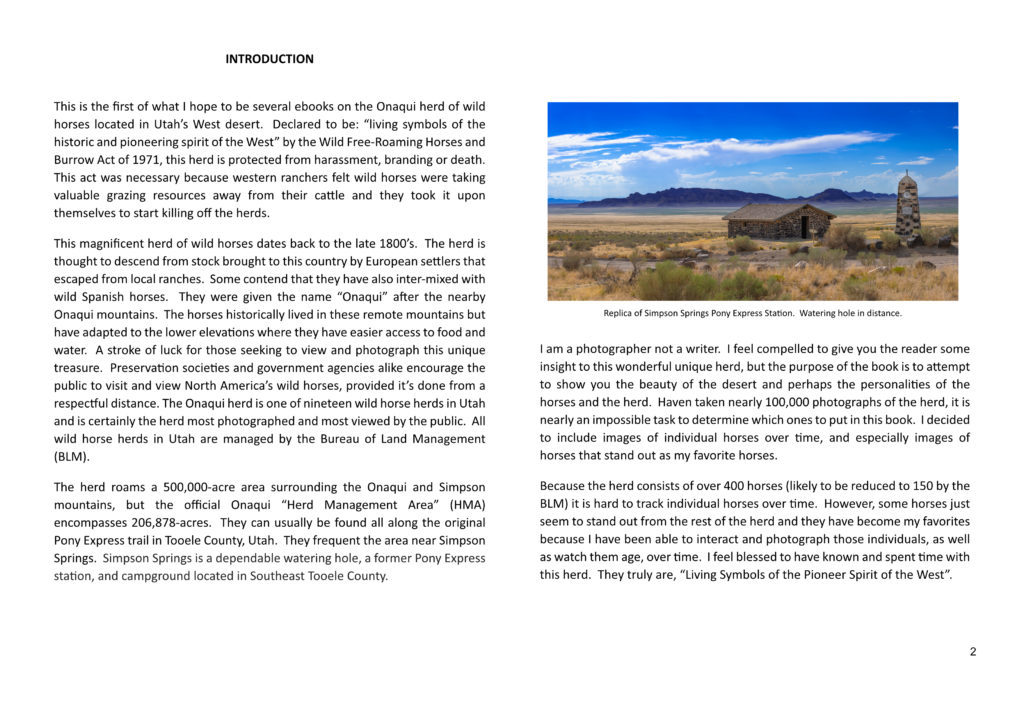 Ebook containing over 70 high-resolution photographs of the Onaqui Herd of wild horses located in Utah&#039;s West Desert.  This is an intimate look into this unique herd of magnificent wild horses.