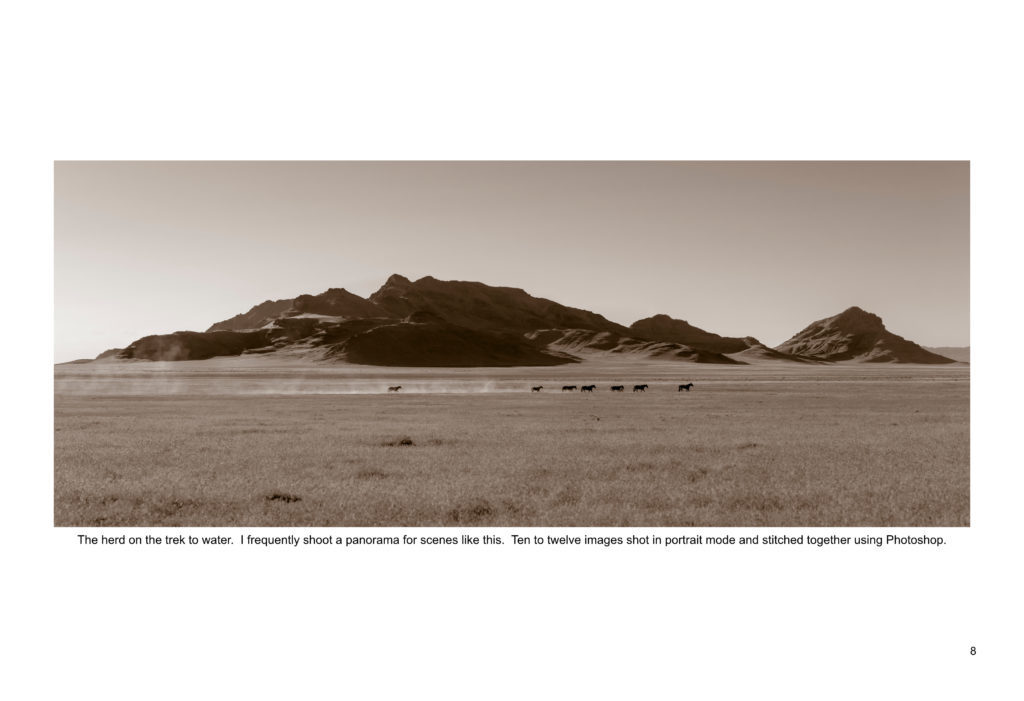 Ebook containing over 70 high-resolution photographs of the Onaqui Herd of wild horses located in Utah&#039;s West Desert.  This is an intimate look into this unique herd of magnificent wild horses.