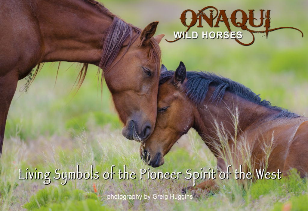 Ebook containing over 70 high-resolution photographs of the Onaqui Herd of wild horses located in Utah&#039;s West Desert.  This is an intimate look into this unique herd of magnificent wild horses.