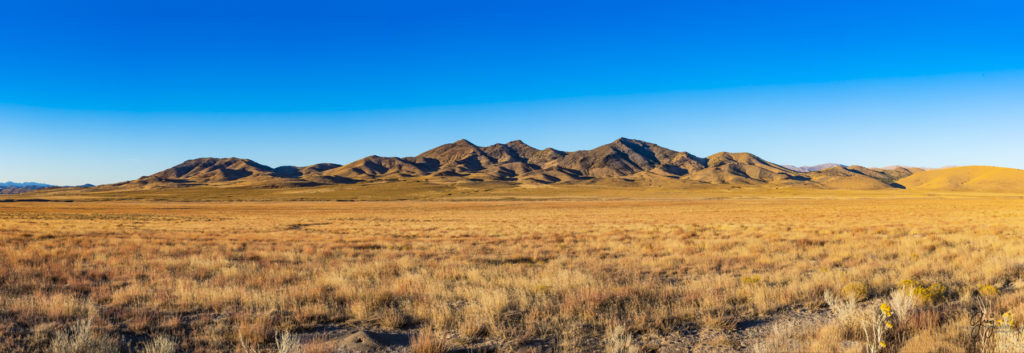 wild horses at sunset, Photography of wild horses, wild horse photography, wild horses, utah wild horses, ebook wild horses, wild horse book, book on wild horses, wildlife photography, wild horse stallions, wild horse colts, wild horse foal, wild horses running