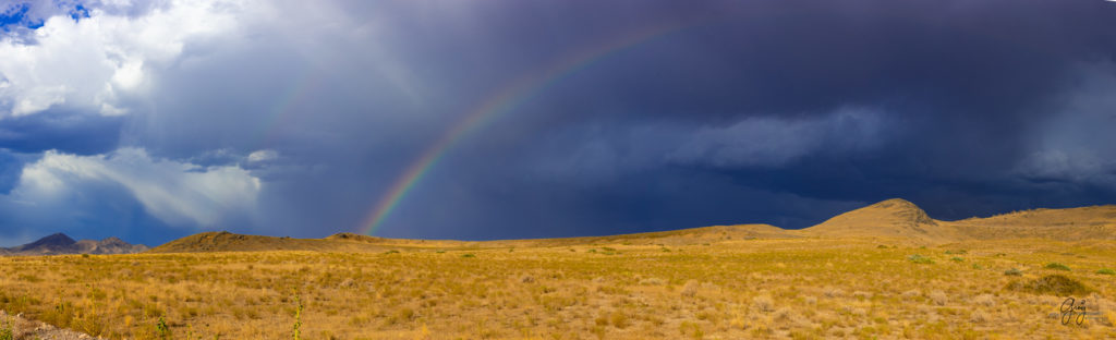 wild horse photography, wild horses, onaqui wild horses,