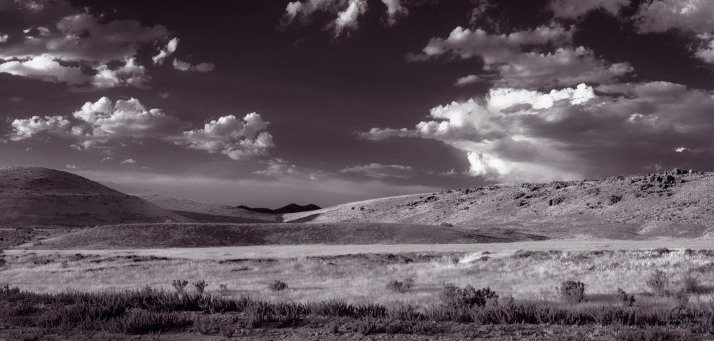 wild horse photography, wild horses, onaqui wild horses,