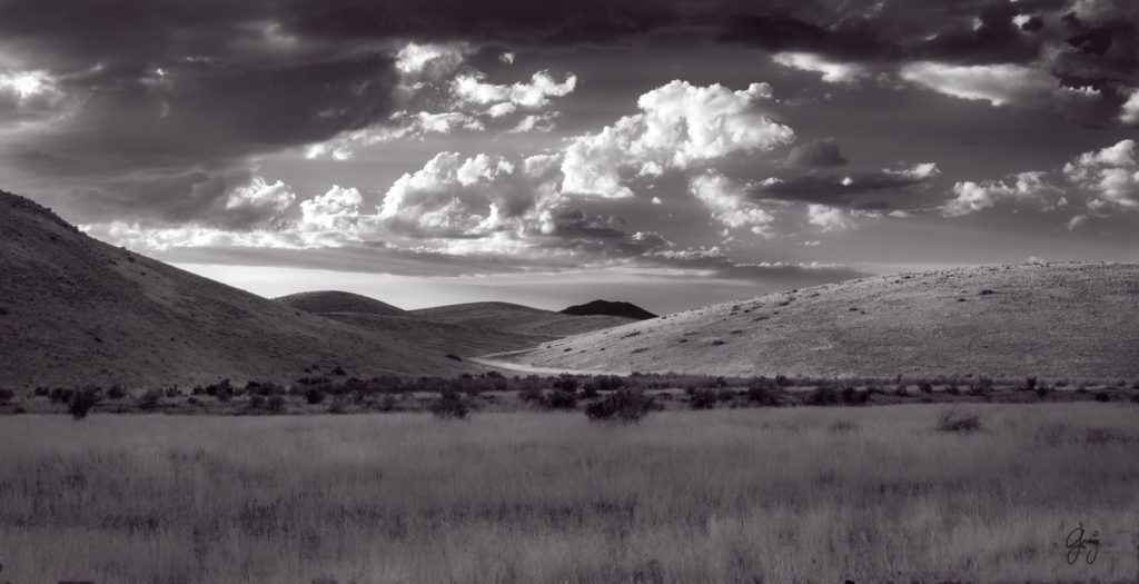 wild horse photography, wild horses, onaqui wild horses,
