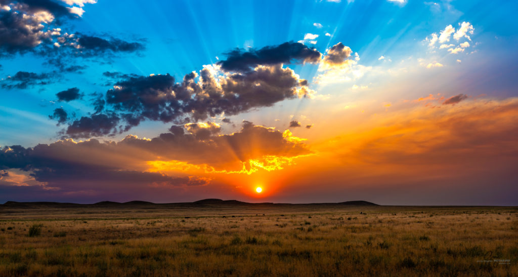 wild horse photography, wild horses, onaqui wild horses,