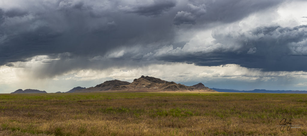 Lightning in clouds above onaqui wild horses fine art photography of wild horses, Onaqui wild horse herd, wild horse photos