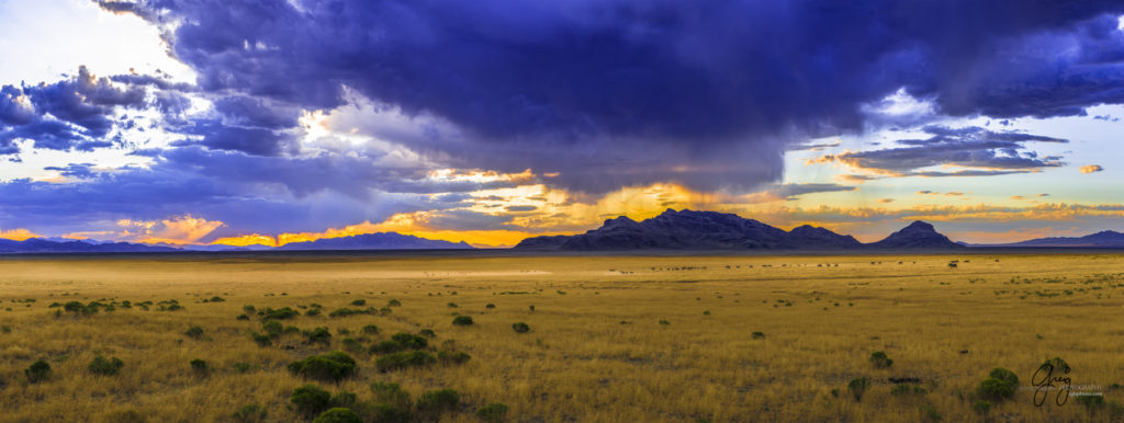 equine photography fine art photograph Onaqui herd of wild horses at sunset