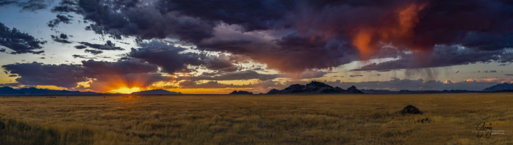 equine photography fine art photograph Onaqui herd of wild horses at sunset