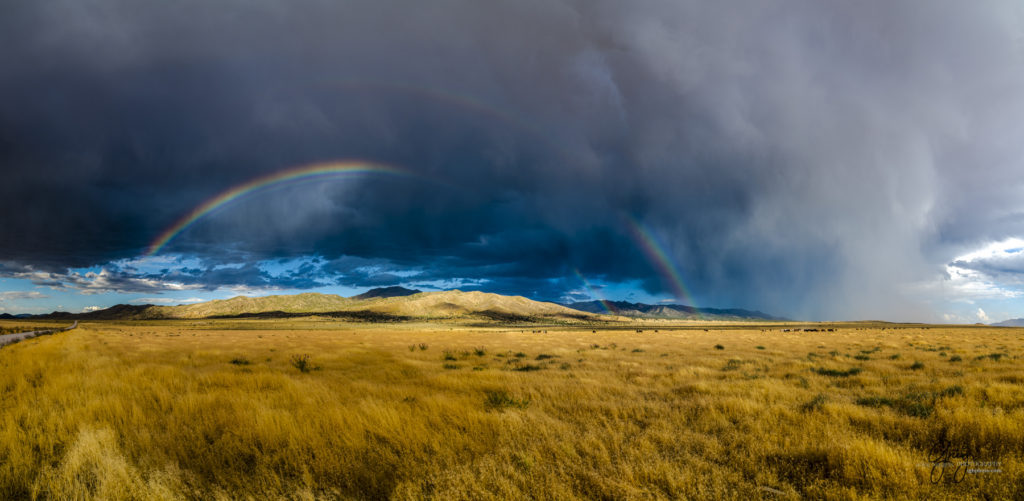 equine photography fine art photograph of Onaqui herd of wild horses fine art equine photography double rainbow over onaqui wild horses