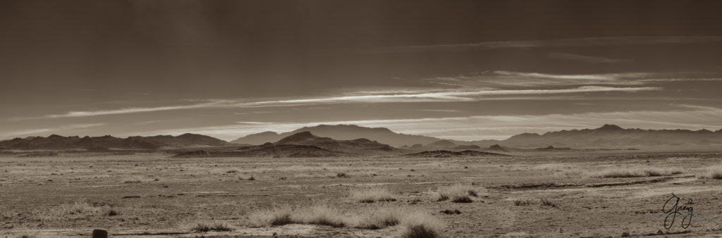 best wild horse photographs, wild horses, wild horse photographers, Onaqui wild horses