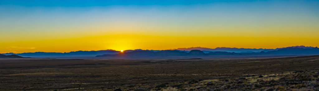 best wild horse photographs, wild horses, wild horse photographers, Onaqui wild horses