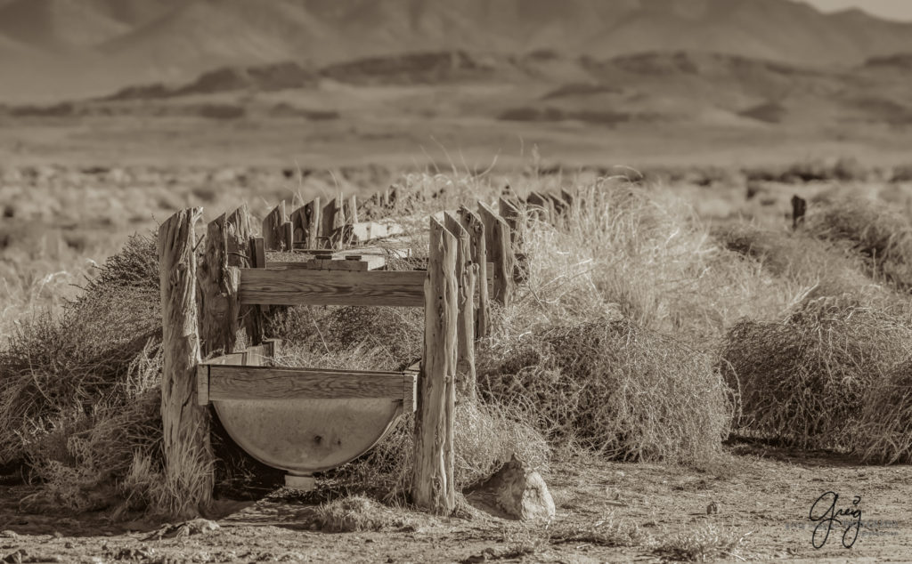 best wild horse photographs, wild horses, wild horse photographers, Onaqui wild horses