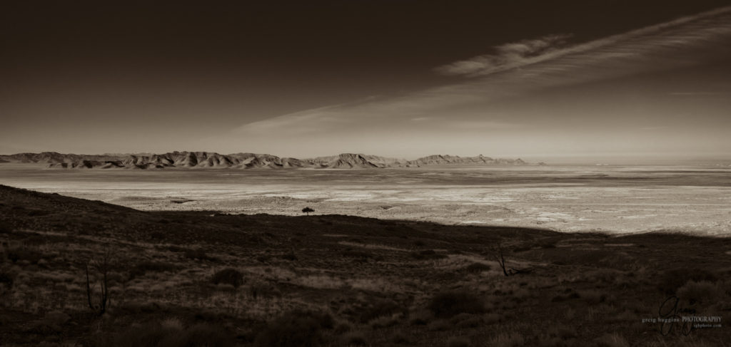 best wild horse photographs, wild horses, wild horse photographers, Onaqui wild horses