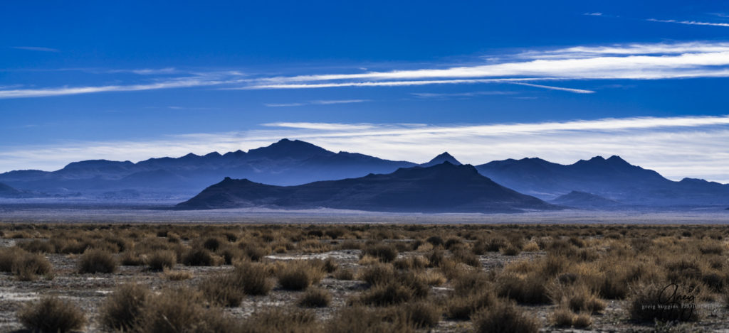 best wild horse photographs, wild horses, wild horse photographers, Onaqui wild horses