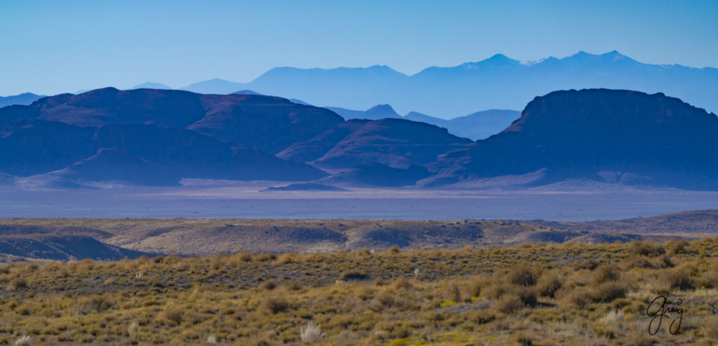 best wild horse photographs, wild horses, wild horse photographers, Onaqui wild horses