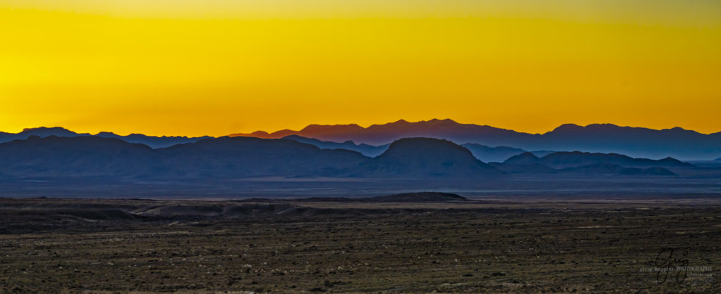 best wild horse photographs, wild horses, wild horse photographers, Onaqui wild horses